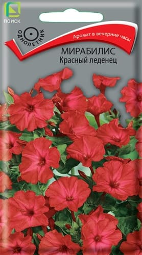 mirabilis_krasny_ledenec (1)