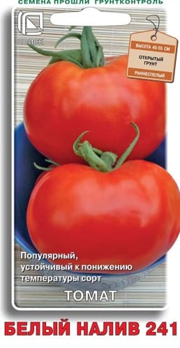 tomat_bely_naliv_241 (1)