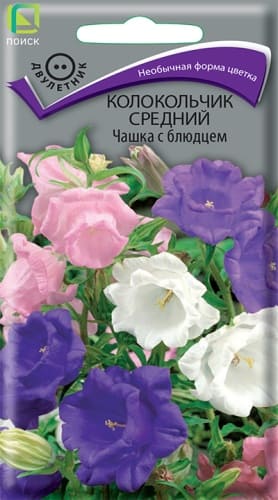 kolokolchik_sredny_chashka_s_bludcem (1)