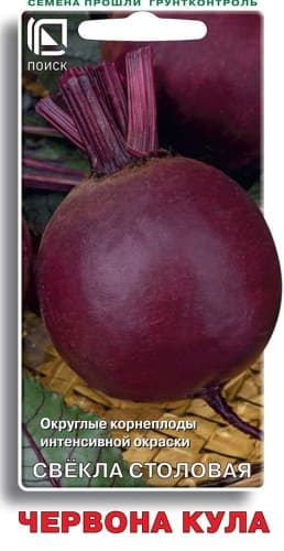 svekla_stolov_chervona_kula (1)