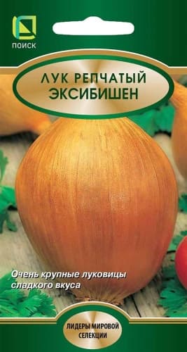 luk_repch_exsibishen (1)