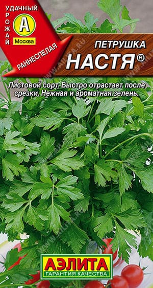 настя (1) (1)