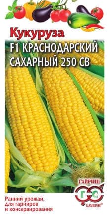 кук (1)