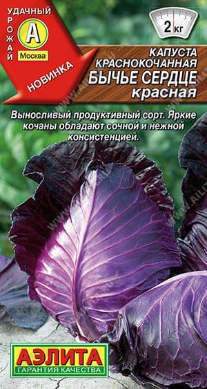 бск (1) (1) (1)