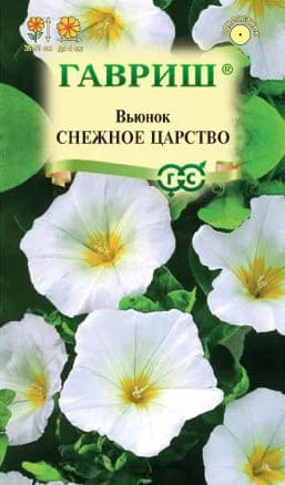 Вьюнок Снежное Царство (1)