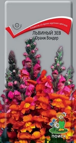 оранж (1) (1) (1)