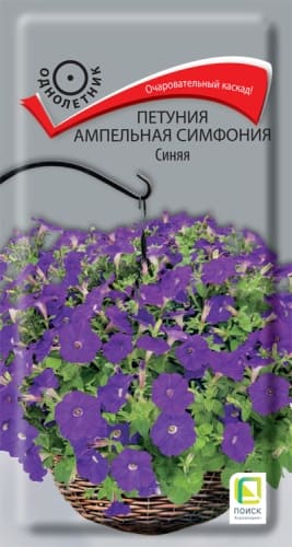 petunia_ampel_simfonia_sinyaya (1)