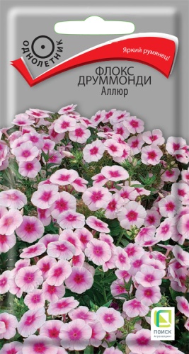 floks_drummonda_allur