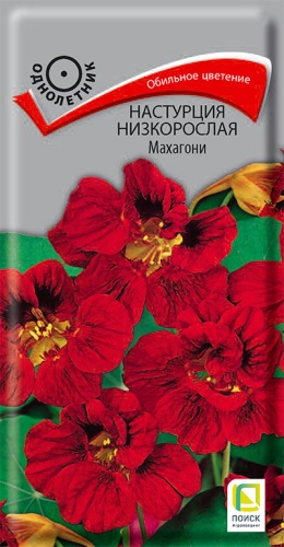 nastrucia_nizkorosl_mahagony