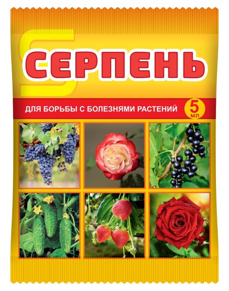 fnminyun5cdrpdcme4smzgx7varm1gid (1)