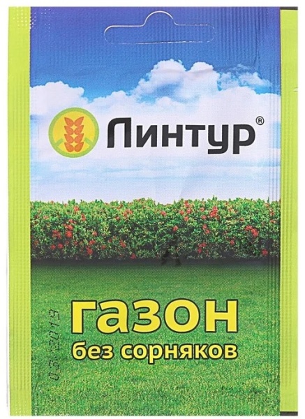 88656