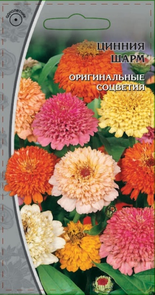 Цинния изящная Шарм (1)