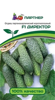 Огурец Директор F1 (5шт) - ПАРТНЕР