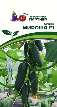Огурец Мироша F1 (10шт)