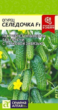 Огурец Селедочка F1 (5шт)