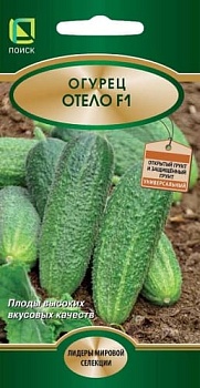 Огурец Отелло F1 (12шт)