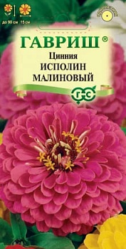 Цинния Исполин малиновый (0,3гр)