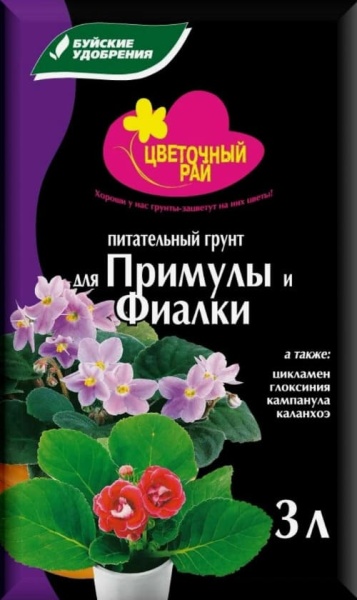 ЦР примула