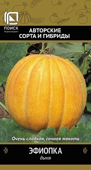 Дыня Эфиопка 15шт.