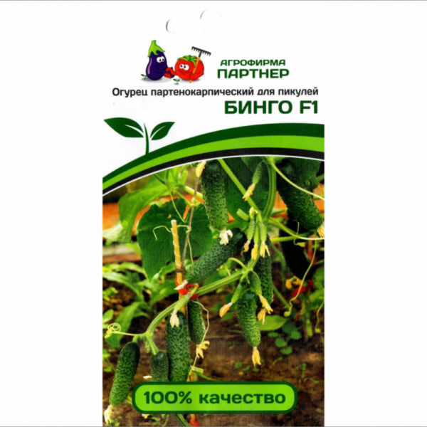 Огурец БИНГО F1 (5шт) (цвет.пакет)  -  ПАРТНЕР