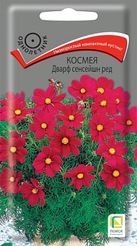 Космея Дварф сенсейшн Ред (0,2гр) 