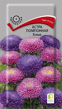 Астра помпонная Ксюша (0,3гр) (однолет) -  П
