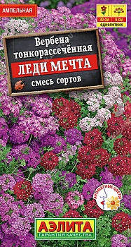 Вербена Леди Мечта амп смесь 30шт