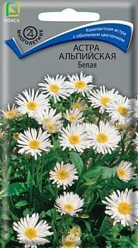 Астра Альпийская Белая (0,04гр)
