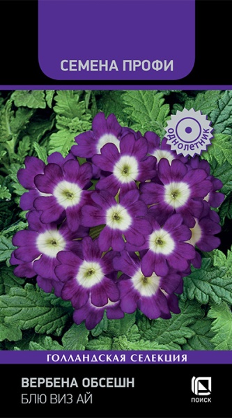 verbena_obsession_blue_with_eye