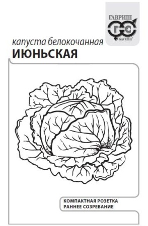 10007030_mini4