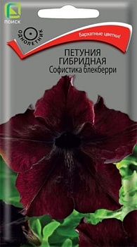 Петуния гибридная Софистика блекберри (5шт)