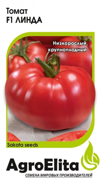 линда (1)