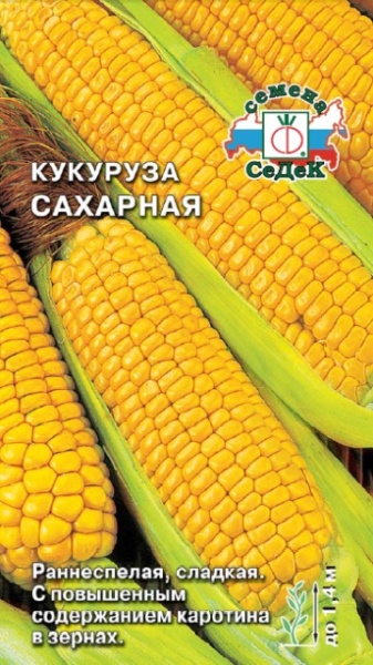 kukuruza_sakharnaya