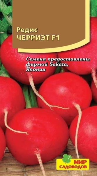 2025-10-12_09-01-23