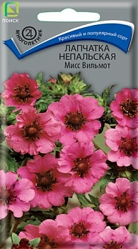Лапчатка непальская Мисс Вильмот (0,1гр)