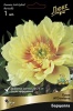 pion_ito_gibrid_barcella_kaper (1)