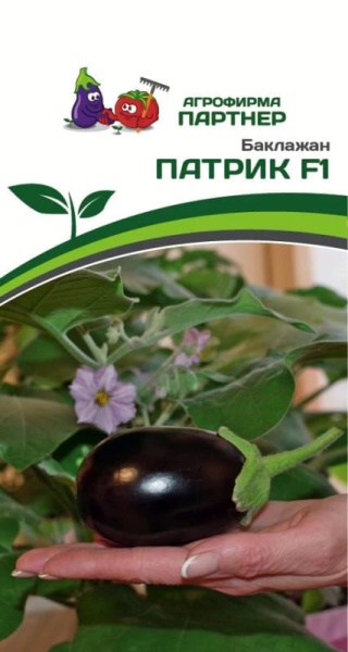 ПАТРИК (1)