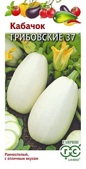 Кабачок Грибовский 37 (2гр) 