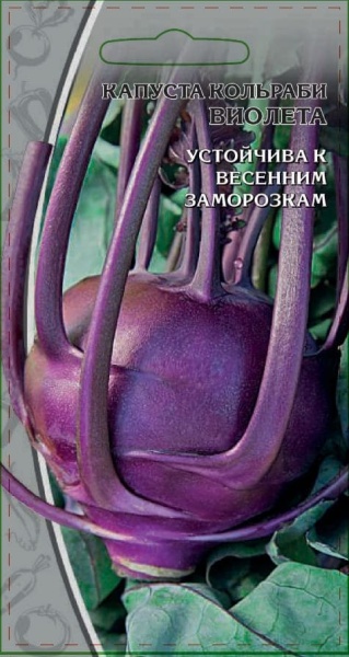 виол (1) (1) (1)