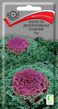 Капуста декоративная Камоме Ред (10шт)