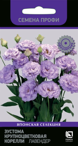 eustoma_krupnocvet_korelly_lavender (1)