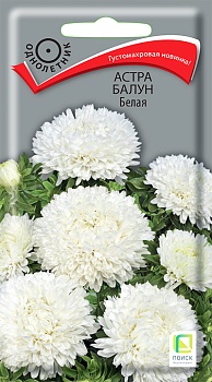 Астра Балун белая (0,1гр)
