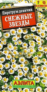 Пиретрум Снежные звезды 7шт