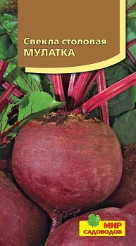 Свекла Мулатка (2гр)