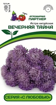 Астра Вечерняя Тайна китайская 5шт Партнер 