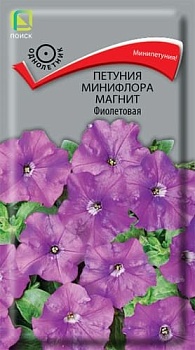 Петуния минифлора Магнит Фиолетовая 10шт
