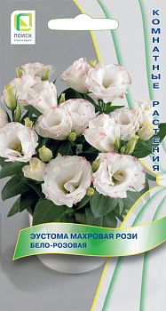 Эустома Рози Бело-розовая (5шт.)