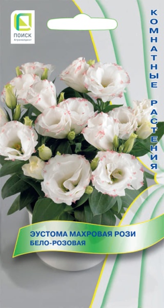 eustoma_mahrov_rouzy_belo_rozovaya (1)