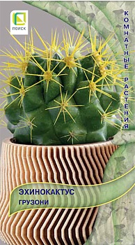 Эхинокактус Грузони 10шт.