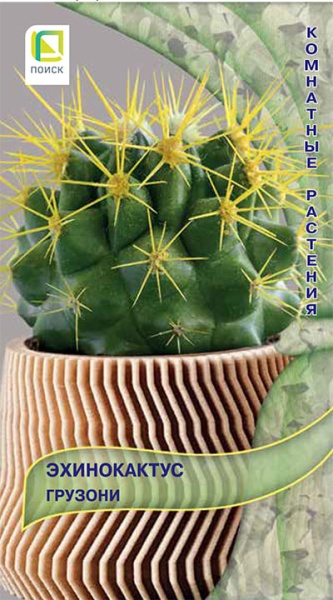 ekhinokaktus_gruzoni (1)